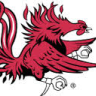 gpcocks