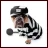 OldDevilDawg